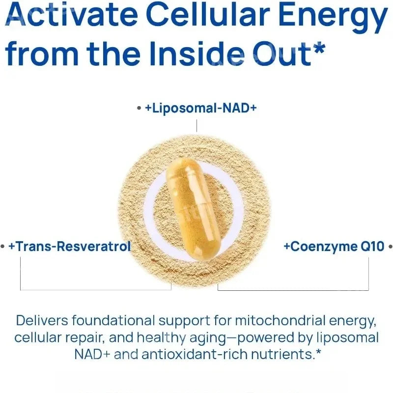 NAD+ Men’s Complex with L-Arginine CoQ10 & Resveratrol – Daily Energy Antioxidant & Wellness Support Vegan Non-GMO 60 Capsules