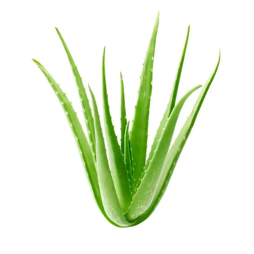 Natural 99% Aloe Vera Gel Moisturizing Soothing Sensitive Skin After Sun Repair Dilutes Acne Marks DIY Cream Lotion Mask Gel