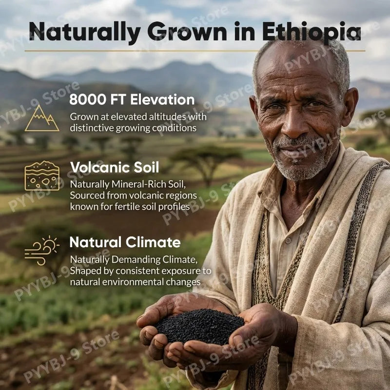 Ethiopian Black Seed Oil Softgels with Vitamin C, Zinc, Ginger and Turmeric for Immune & Antioxidant Support, 60 Softgels