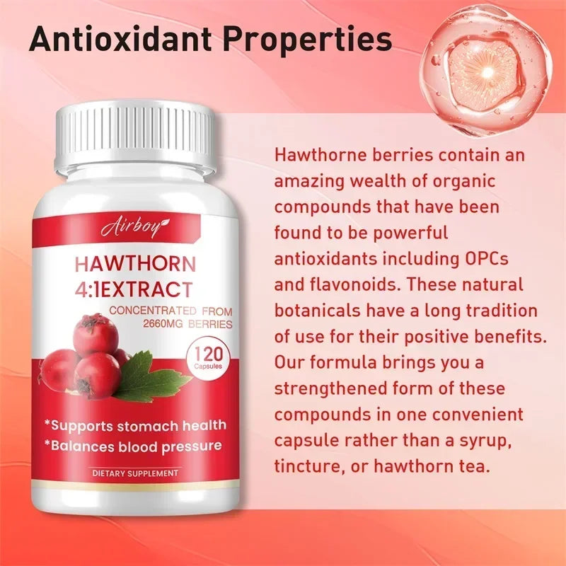 Hawthorn Berry Extract Capsule - Supports Digestive Health, Promotes Energy Production, Blood Circulation, and Boosts Immunity