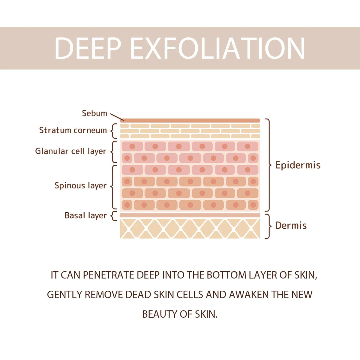 OUHOE Purifying Exfoliating Gel 50g, Refreshing Cleansing Peeling Gel, Moisturizing Rejuvenating Skin Exfoliator, Gentle Face Body Exfoliating Scrub Gel for Daily Skin Care