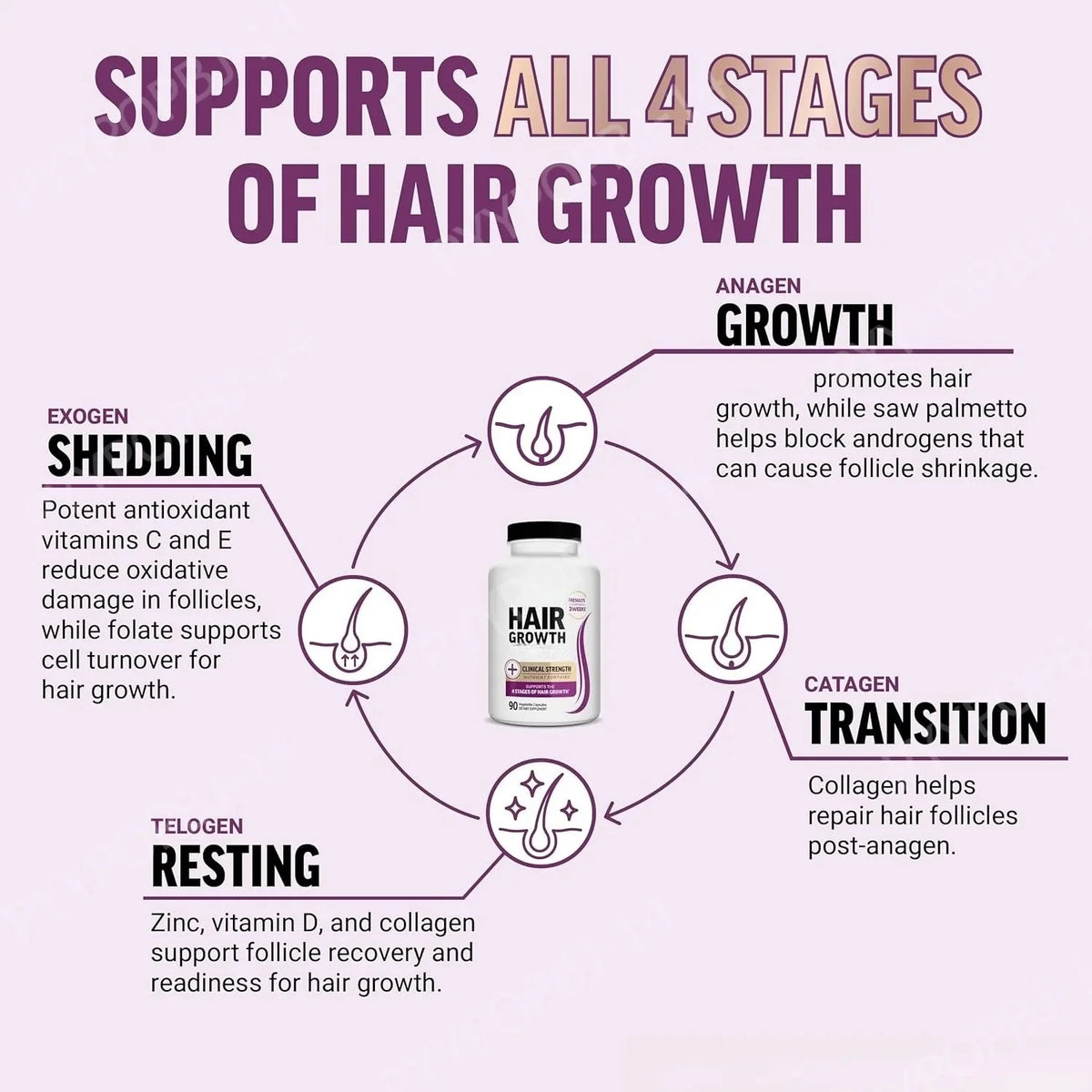 Hair Wellness Multivitamin – with Biotin, Collagen & Botanicals – Supports Healthy Hair – 90 Vegetable Capsules