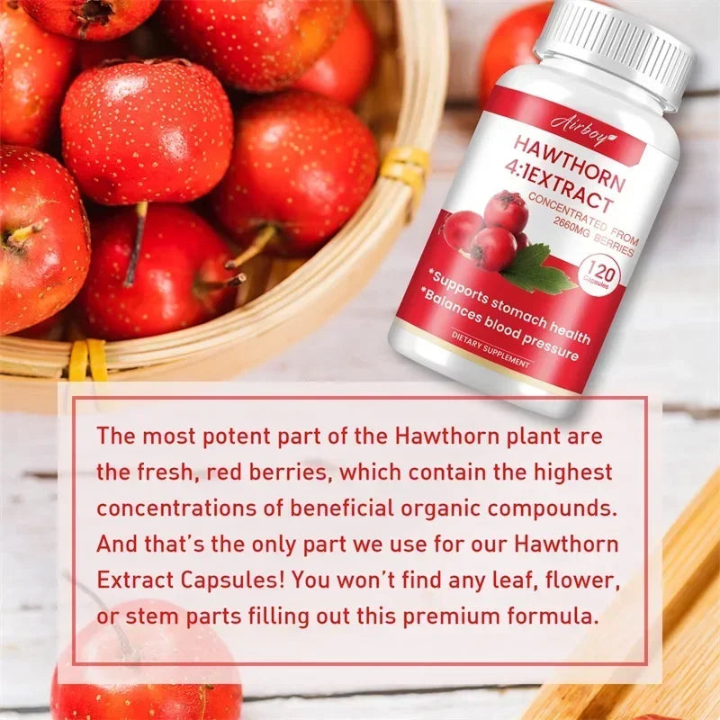 Hawthorn Berry Extract Capsule - Supports Digestive Health, Promotes Energy Production, Blood Circulation, and Boosts Immunity