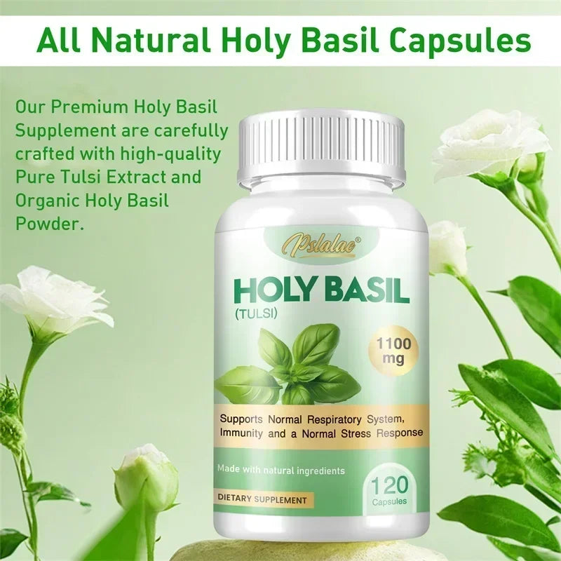 Holy Basil Capsules - Enhance Immunity, Relieve Stress, Relax The Body and Mind, Improve Vitality and Energy Levels
