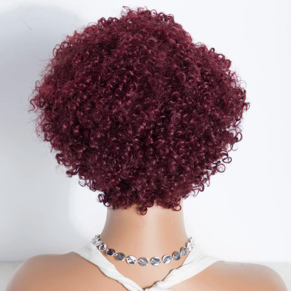 Lekker Short Pixie Cut Afro Kinky Curly Bob 100% Human Hair Wigs For Women Brazilian Remy Hair Full Machine Made Clearance Wigs
