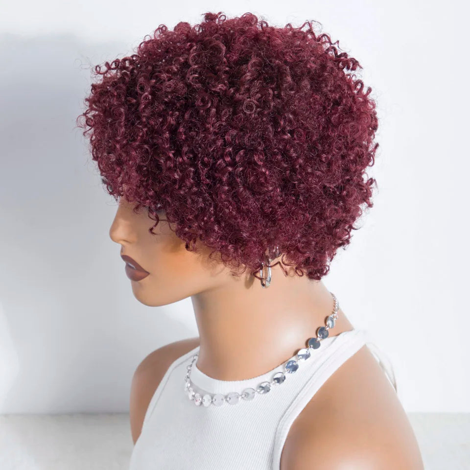 Lekker Short Pixie Cut Afro Kinky Curly Bob 100% Human Hair Wigs For Women Brazilian Remy Hair Full Machine Made Clearance Wigs