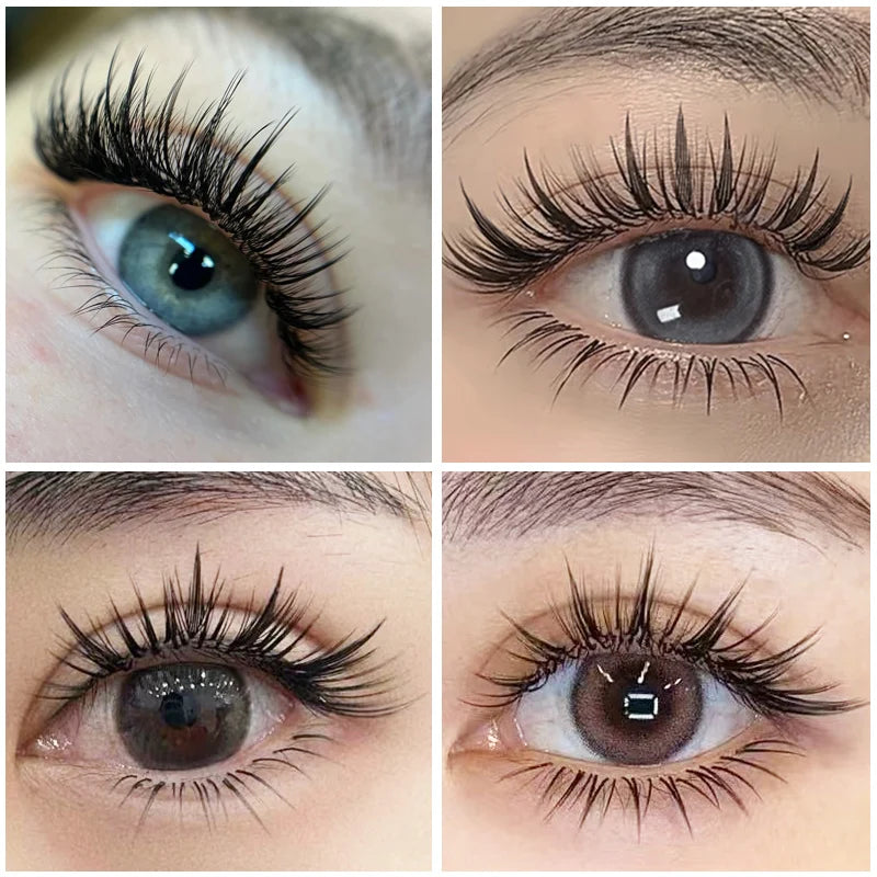 Befer Beauty Anime Lashes 240 Clusters Manga Style Feather Lash Flora Cat Eye Eyelashes 8-15mm C/D Curl Lash Extensions Supplier