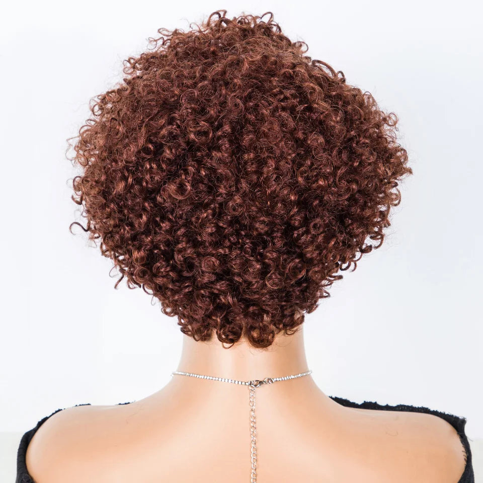 Lekker Short Pixie Cut Afro Kinky Curly Bob 100% Human Hair Wigs For Women Brazilian Remy Hair Full Machine Made Clearance Wigs