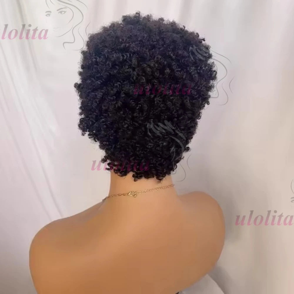 Premium 99J Afro Curly 13x4 Ear To Ear Lace Frontal Human Hair Glueless Wigs for Women 6inches Remy Hair Short Cut Lace Bob Wigs
