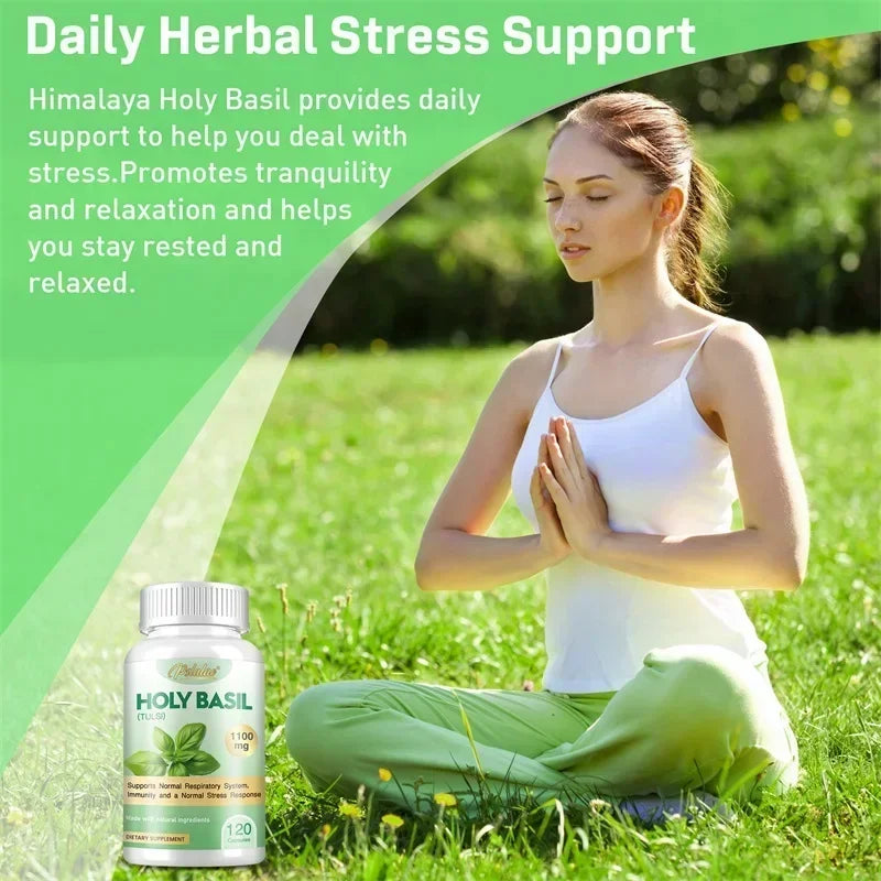 Holy Basil Capsules - Enhance Immunity, Relieve Stress, Relax The Body and Mind, Improve Vitality and Energy Levels