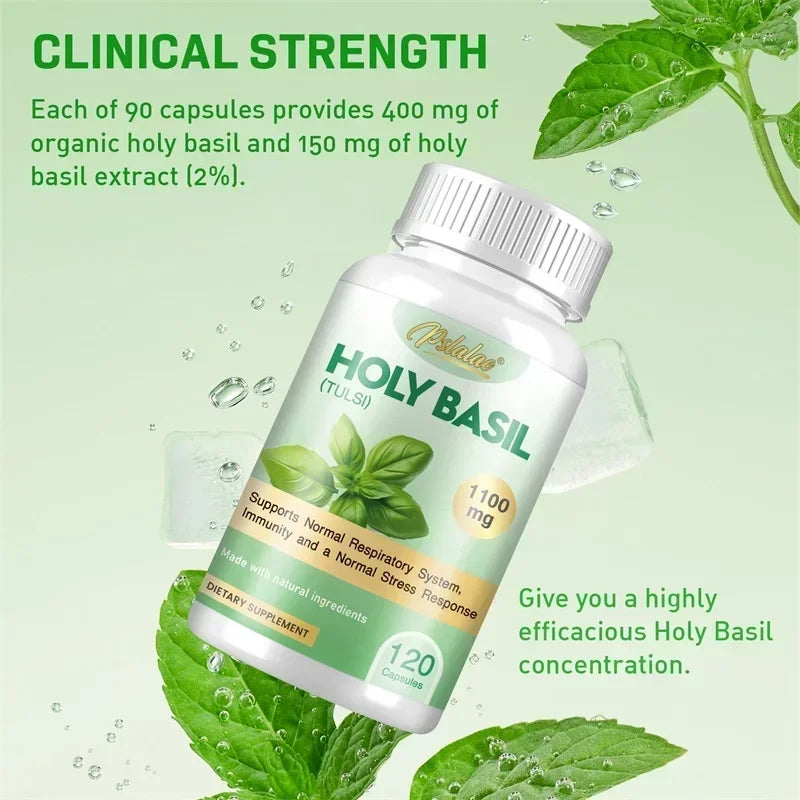 Holy Basil Capsules - Enhance Immunity, Relieve Stress, Relax The Body and Mind, Improve Vitality and Energy Levels