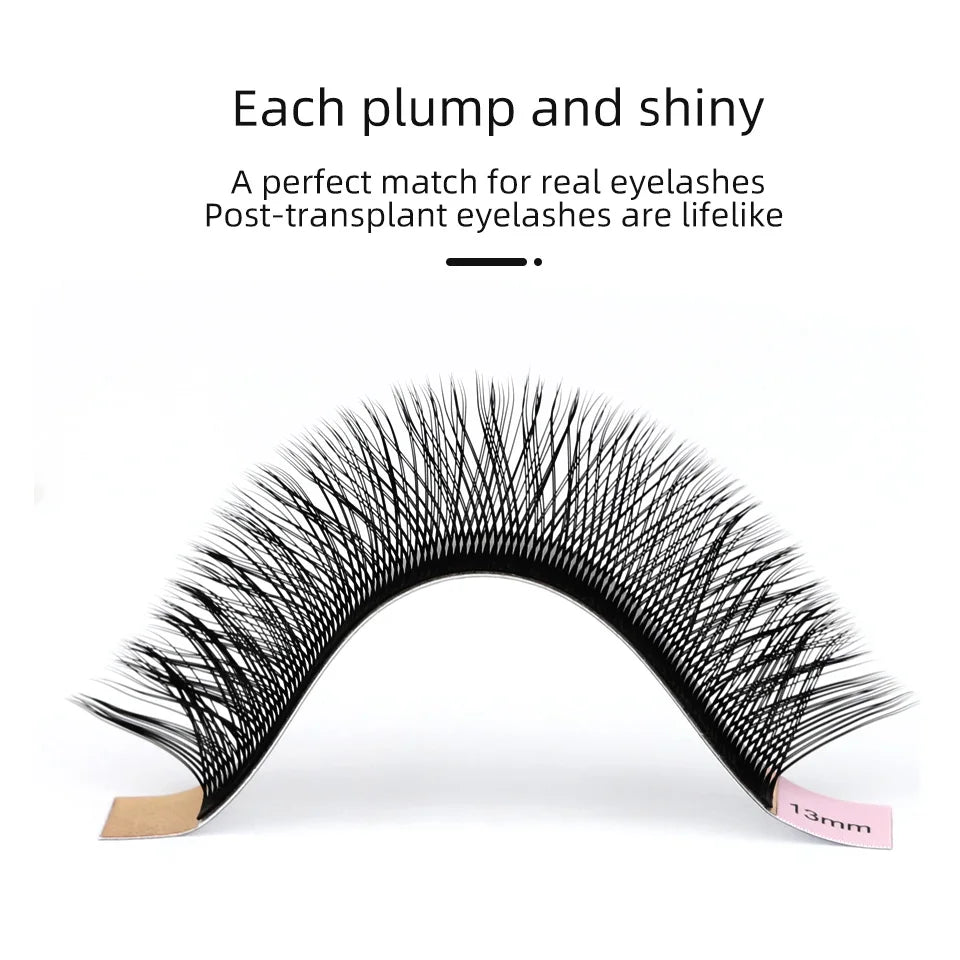 AGUUD Automatic Flowering 2D 3D 4D 5D W Shape Premade Fans Eyelash Extensions Natural Soft Individual Lashes Makeup Cilia